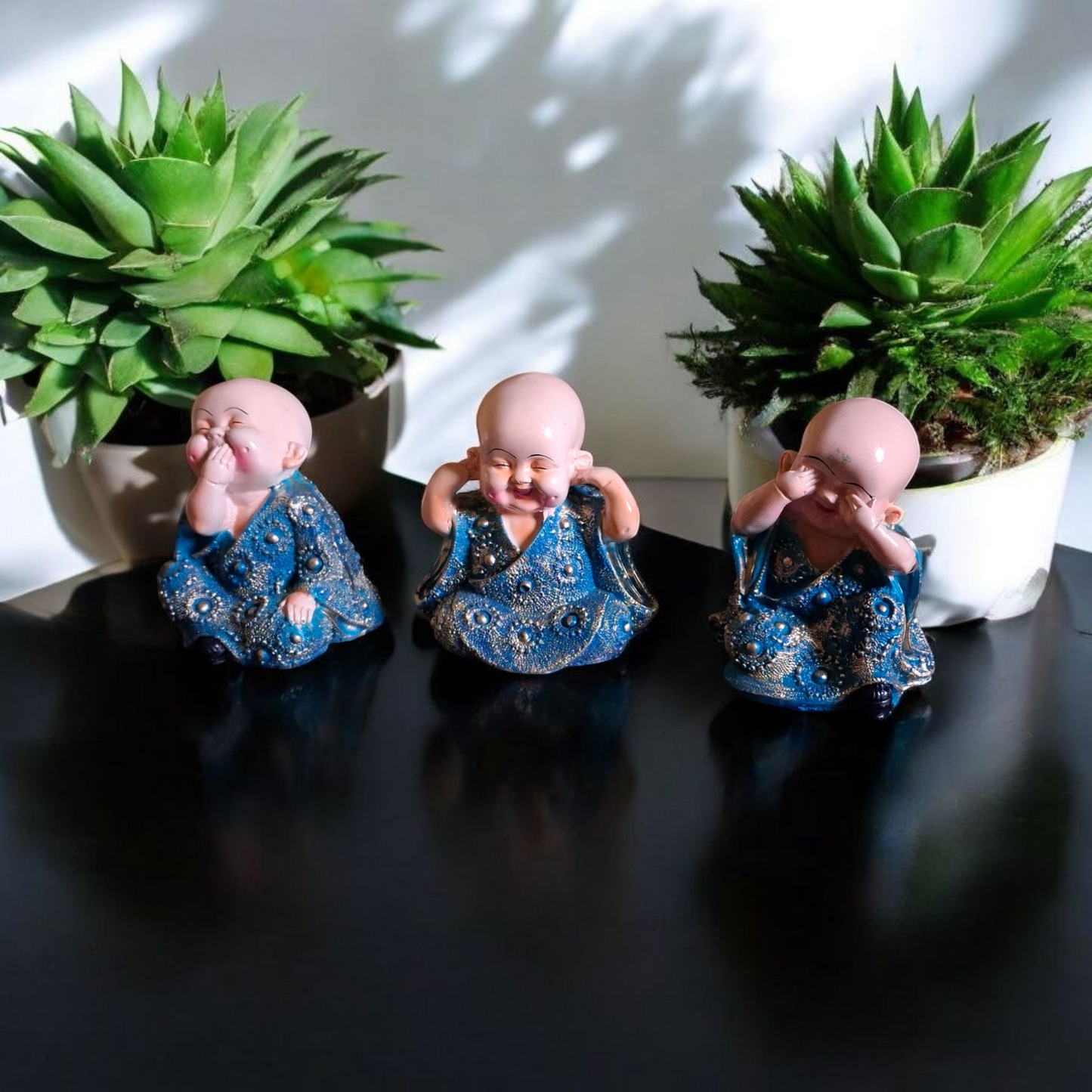 MONK BABY BLUE COLOUR